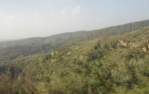 浮山縣林業(yè)局森林防火視頻監(jiān)控實施方案