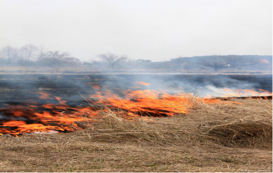 秸稈焚燒—草原防火雙光譜一體化監(jiān)控預(yù)警系統(tǒng)解決方案