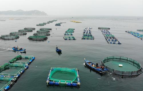 海上養(yǎng)殖場全天候遠(yuǎn)距離一體化數(shù)字監(jiān)控應(yīng)用